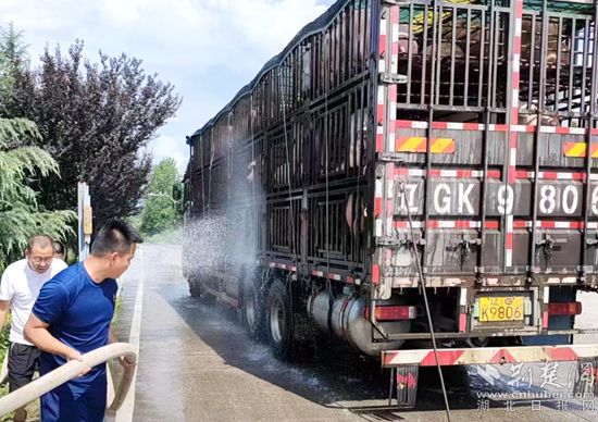 眼見一車生豬被救，長途司機(jī)李師傅終于松了口氣 (2)_副本.jpg