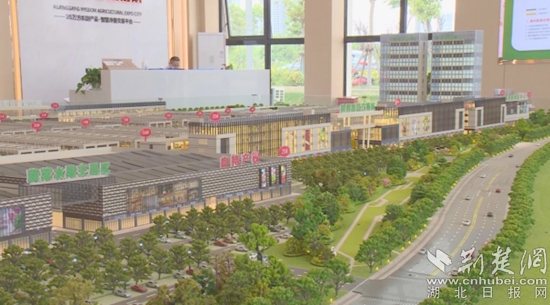 黃岡農(nóng)博城1.jpg
