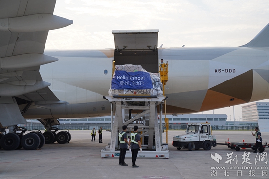 機務(wù)人員卸下貨物。金康 攝.jpeg